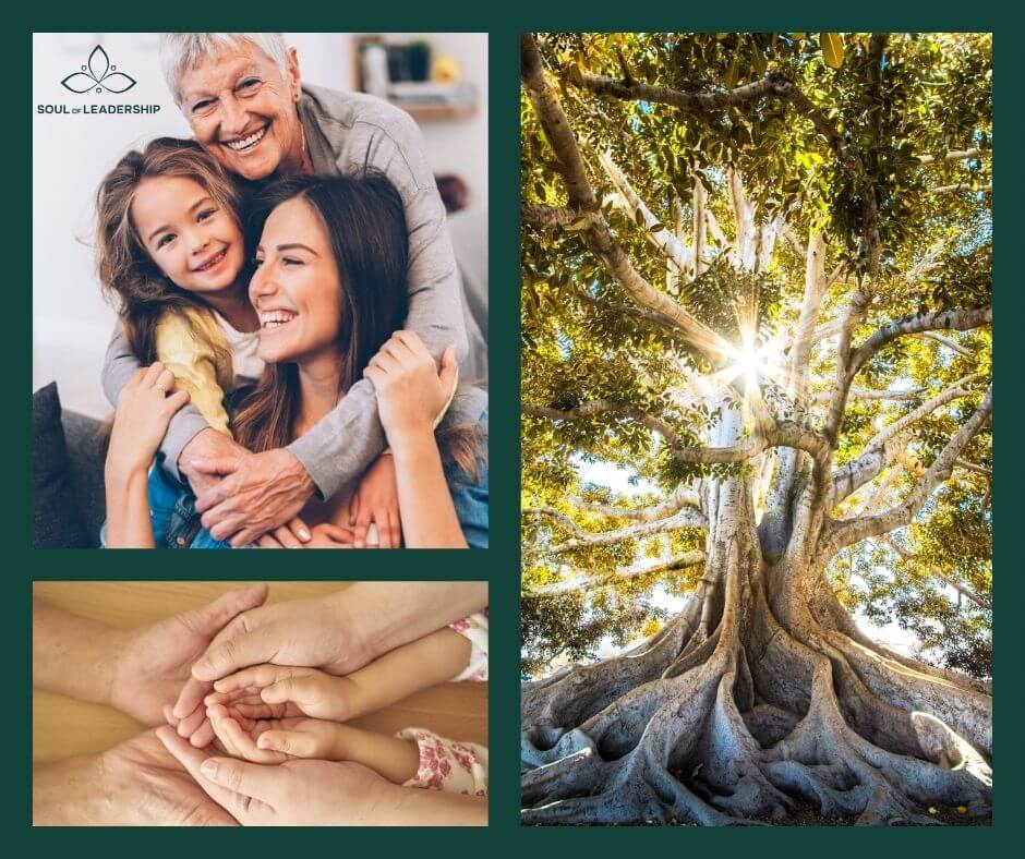 A tanult érzelmi reakciók és generációs mintázatok